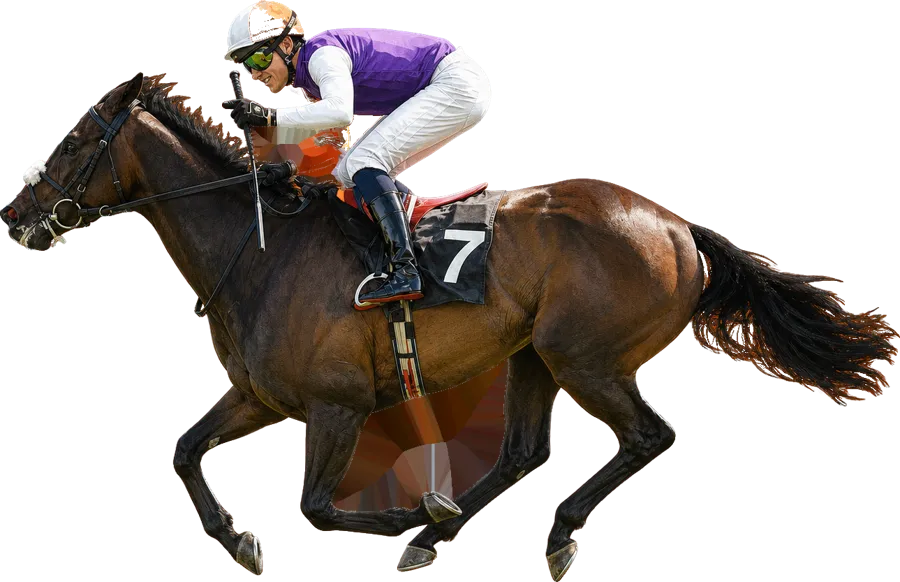 Johanna Walsh